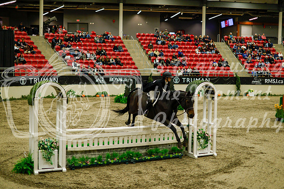 2025 - Haylee - Royal West - Saturday October 18th - 08413