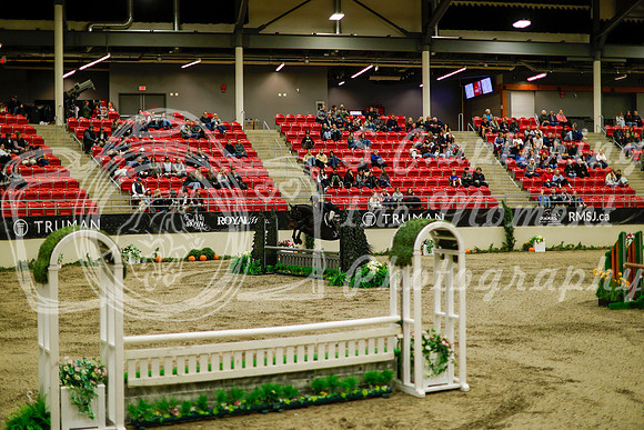 2025 - Haylee - Royal West - Saturday October 18th - 08415