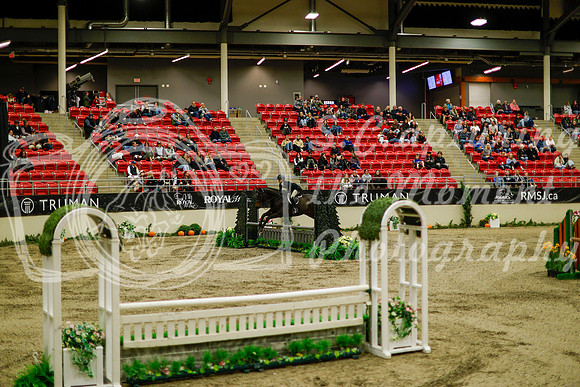 2025 - Haylee - Royal West - Saturday October 18th - 08416