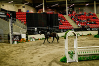 2025 - Haylee - Royal West - Saturday October 18th - 08417