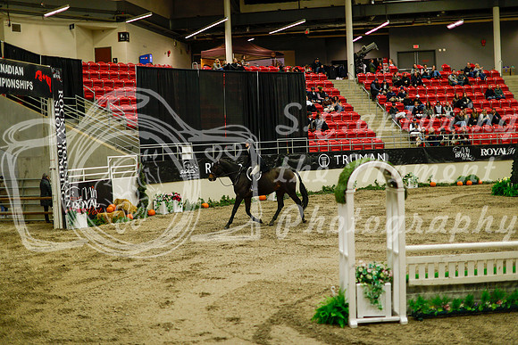 2025 - Haylee - Royal West - Saturday October 18th - 08417