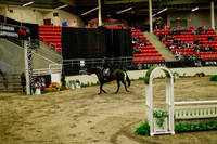 2025 - Haylee - Royal West - Saturday October 18th - 08418