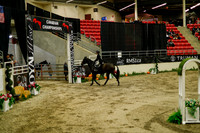 2025 - Haylee - Royal West - Saturday October 18th - 08419