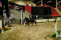 2025 - Haylee - Royal West - Saturday October 18th - 08420