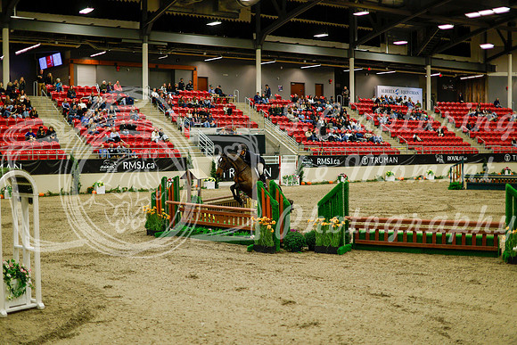 2025 - Haylee - Royal West - Saturday October 18th - 08316