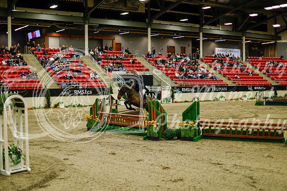 2025 - Haylee - Royal West - Saturday October 18th - 08317