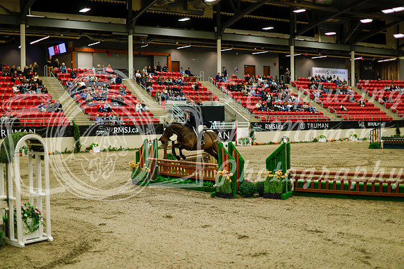2025 - Haylee - Royal West - Saturday October 18th - 08318
