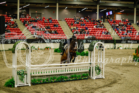 2025 - Haylee - Royal West - Saturday October 18th - 08320