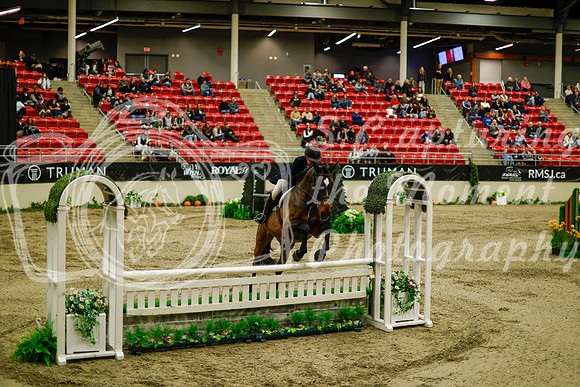 2025 - Haylee - Royal West - Saturday October 18th - 08321