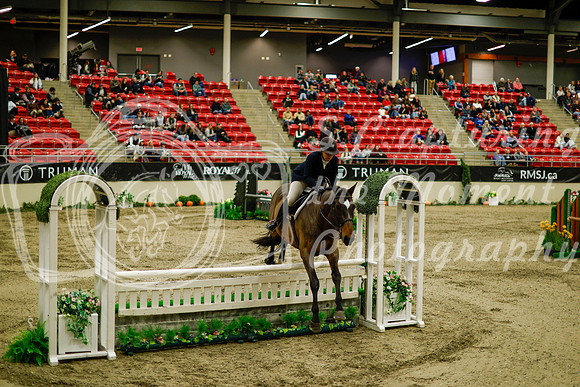 2025 - Haylee - Royal West - Saturday October 18th - 08323