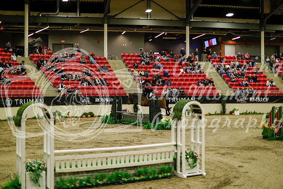2025 - Haylee - Royal West - Saturday October 18th - 08326