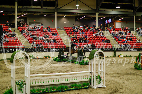 2025 - Haylee - Royal West - Saturday October 18th - 08327