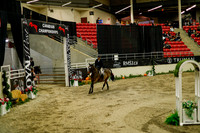2025 - Haylee - Royal West - Saturday October 18th - 08329