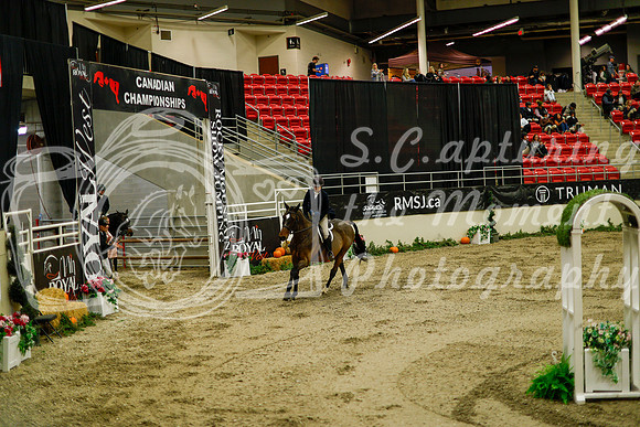 2025 - Haylee - Royal West - Saturday October 18th - 08329