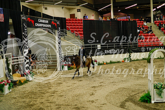 2025 - Haylee - Royal West - Saturday October 18th - 08330