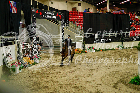 2025 - Haylee - Royal West - Saturday October 18th - 08332