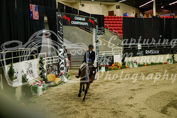 2025 - Haylee - Royal West - Saturday October 18th - 08334