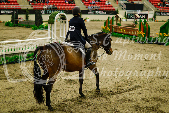 2025 - Haylee - Royal West - Saturday October 18th - 08336