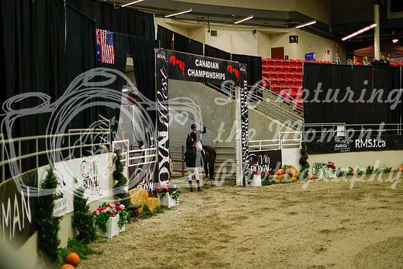 2025 - Haylee - Royal West - Saturday October 18th - 08340