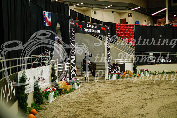 2025 - Haylee - Royal West - Saturday October 18th - 08341