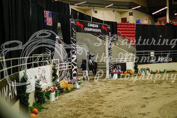 2025 - Haylee - Royal West - Saturday October 18th - 08343