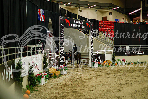 2025 - Haylee - Royal West - Saturday October 18th - 08345