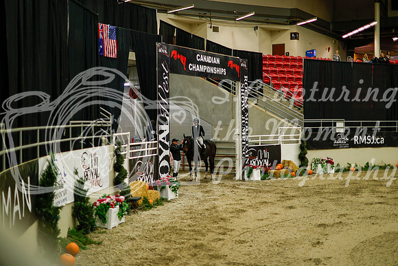 2025 - Haylee - Royal West - Saturday October 18th - 08344
