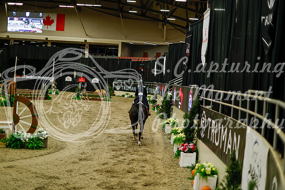 2025 - Haylee - Royal West - Saturday October 18th - 08346