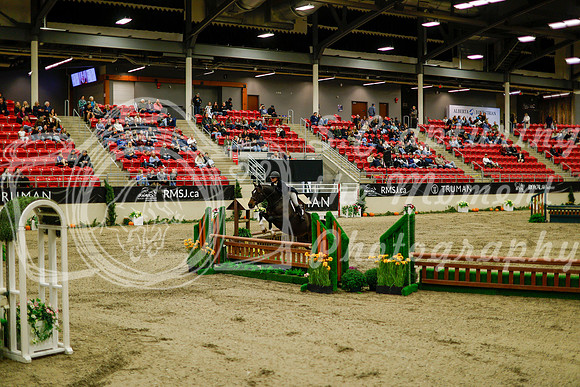 2025 - Haylee - Royal West - Saturday October 18th - 08348