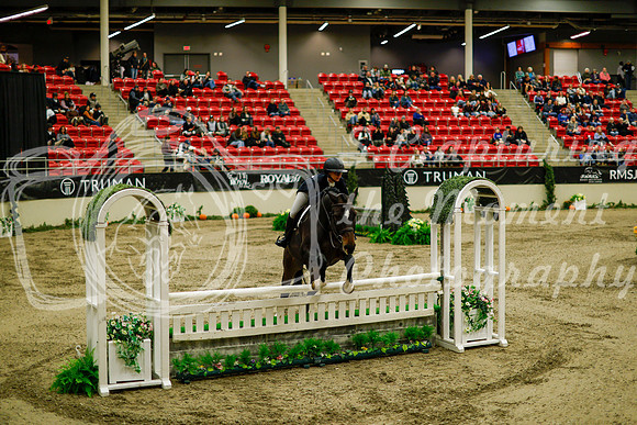 2025 - Haylee - Royal West - Saturday October 18th - 08354