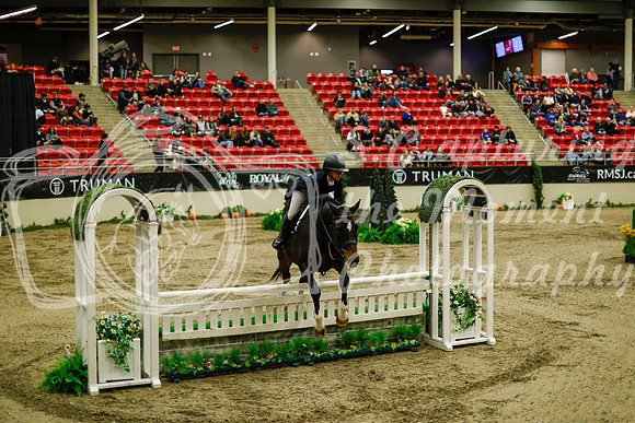 2025 - Haylee - Royal West - Saturday October 18th - 08355