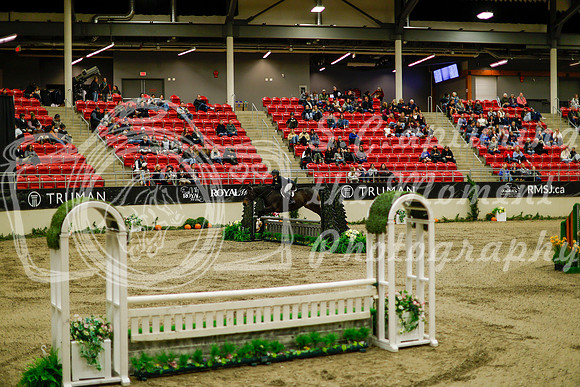 2025 - Haylee - Royal West - Saturday October 18th - 08357