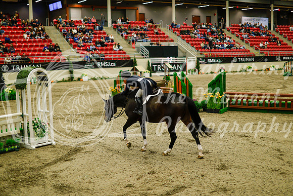 2025 - Haylee - Royal West - Saturday October 18th - 08366