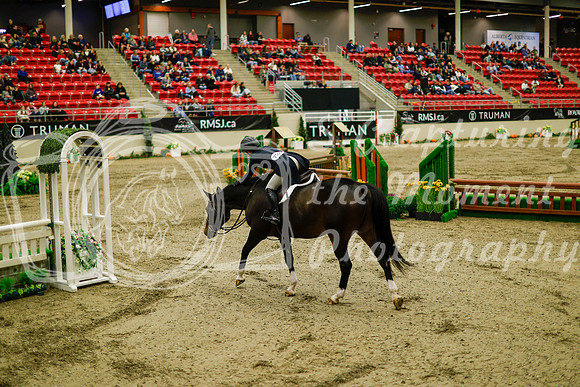 2025 - Haylee - Royal West - Saturday October 18th - 08367