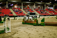2025 - Haylee - Royal West - Saturday October 18th - 08536