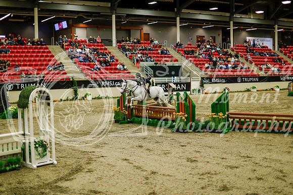 2025 - Haylee - Royal West - Saturday October 18th - 08536