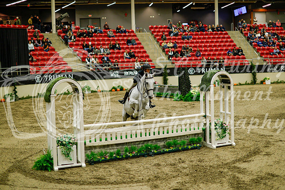 2025 - Haylee - Royal West - Saturday October 18th - 08539