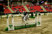2025 - Haylee - Royal West - Saturday October 18th - 08541
