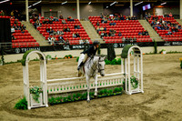 2025 - Haylee - Royal West - Saturday October 18th - 08542