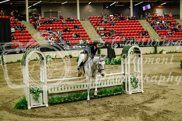 2025 - Haylee - Royal West - Saturday October 18th - 08542