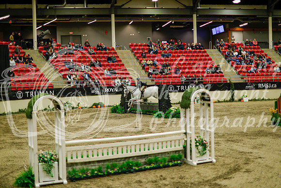 2025 - Haylee - Royal West - Saturday October 18th - 08545
