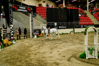 2025 - Haylee - Royal West - Saturday October 18th - 08546