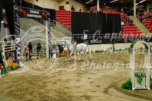 2025 - Haylee - Royal West - Saturday October 18th - 08546