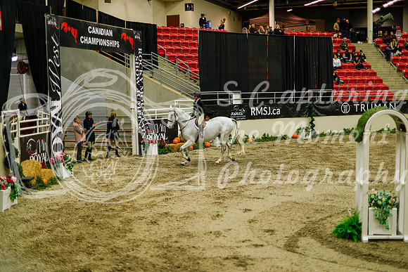 2025 - Haylee - Royal West - Saturday October 18th - 08547