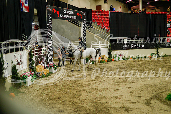 2025 - Haylee - Royal West - Saturday October 18th - 08548
