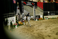 2025 - Haylee - Royal West - Saturday October 18th - 08549