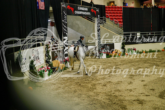 2025 - Haylee - Royal West - Saturday October 18th - 08549