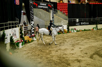 2025 - Haylee - Royal West - Saturday October 18th - 08550