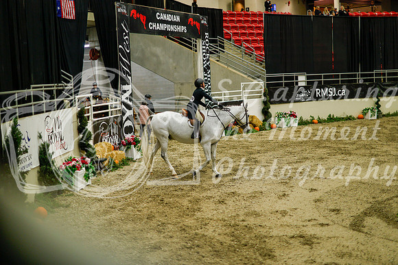 2025 - Haylee - Royal West - Saturday October 18th - 08550