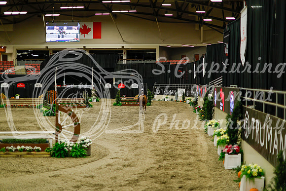 2025 - Haylee - Royal West - Saturday October 18th - 08464